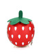 Red and Green EVA Cartoon Shoulders Scale Strawberry Modelling Zip-Around Hard Shell Bag
