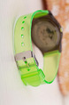 Green Plastic Band Pin Buckle Quartz Watch